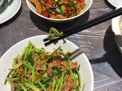 -壹盏灯(惠农店)