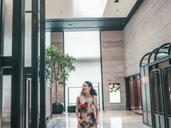 -新加坡乌节希尔顿酒店 (SG Clean)