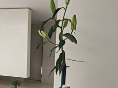 -卡罗酒店(东门晒布地铁站店)