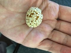 麻圆-清真全盛斋传统糕点(西羊市店)