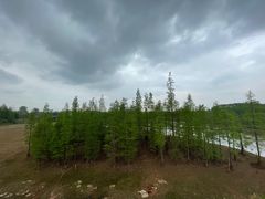 -白鹭湾湿地公园