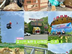 -栾川竹海野生动物园