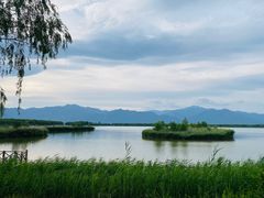 -野鸭湖国家湿地公园