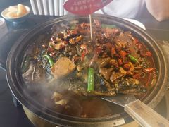 -辣尚瘾·烤鱼·新川菜(交大直营店)