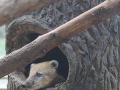 -北京动物园-畅观楼