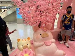 -新城市广场