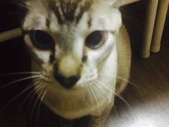 -不止轰趴桌游麻将台球(立水桥店)