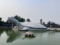 -东方巨龟苑景区