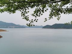 -酒仙湖景区