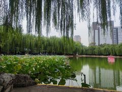 -团结湖公园