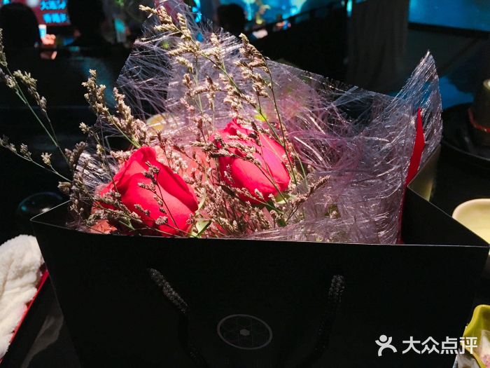 地球美食剧场图片