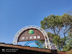 -金山农民画村-枫泾波兰倒置屋