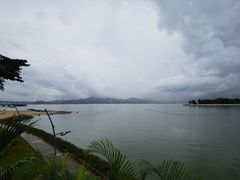 -深圳湾公园(南山区)