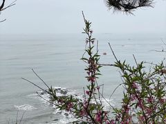 -大连金石滩滨海国家地质公园