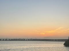 -宝安西湾红树林湿地公园