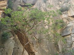 -黑龙潭风景区