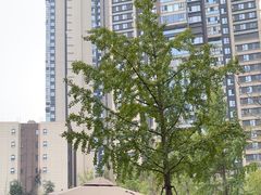 -老街市井麻辣烫(龙湖滨江天街店)