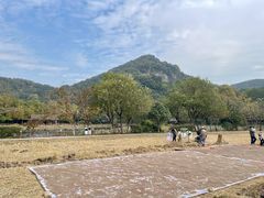 -八卦田遗址公园
