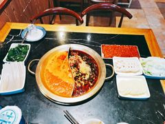 -杨家火锅(国美店)