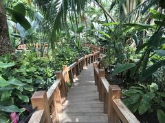 -北京植物园-展览温室