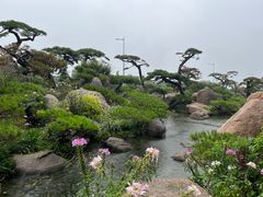 -罗红摄影艺术馆