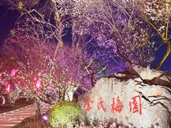 -无锡梅园公园