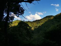 -龙岩森林水乡景区