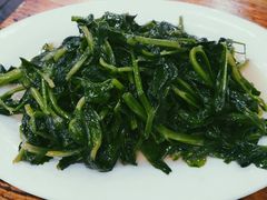 炒豌豆尖-雨田饭店(华兴东街店)