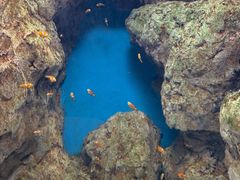 -福州罗源湾海洋世界旅游区