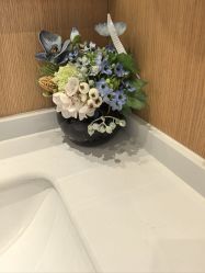 -郑州米兰柏羽集美医疗美容医院
