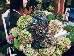 -杭州街角花屋花店(闻堰店)