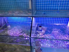 -面道赞宁海海鲜面(迎凤街店)