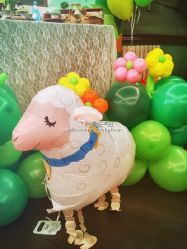 -波乐气球派对用品商店·生日布置·礼品集合店