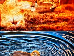 -罗红摄影艺术馆