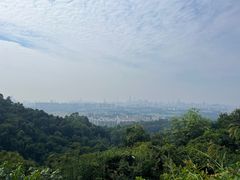 -火炉山森林公园