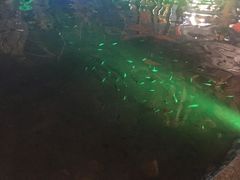 -宝丽金大酒店·洗浴中心