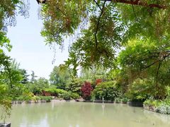 -嘉定紫藤园