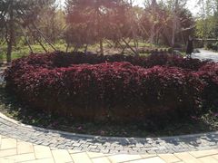 -回龙观体育文化公园