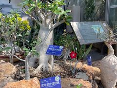 -国家植物园南园