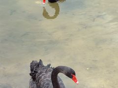 -茵特拉根酒店·西餐厅