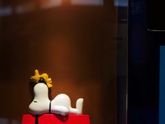 -史努比缤纷世界