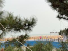 -日照海滨国家森林公园