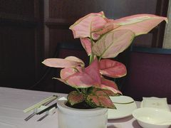 -大蓉和(一品天下店)
