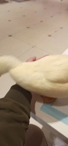 -满兴咱妈烀饼铁锅炖(兰州北街店)