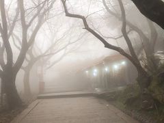 -普陀山风景区-佛顶山