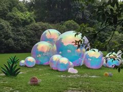 -上海共青森林公园