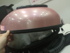 -佑安动物医院·全科·内窥镜中心(幸福巷店)