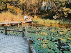 -天目湖山水园