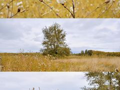 -野鸭湖国家湿地公园