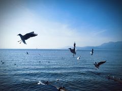 -滇池海埂公园